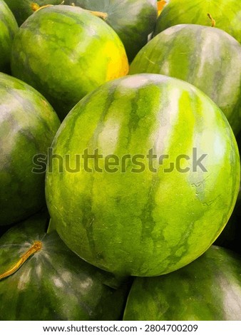Close up full frame layout of vibrant green striped watermelons. Fresh organic tropical fruit texture asset perfect for summer themes, healthy diets, and agriculture