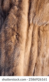 close up of fur texture