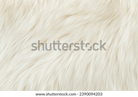 close up of fur, close up of texture background