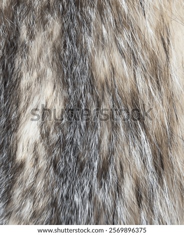 A close up of a fur texture with a light and dark brown color. The fur is very soft and fluffy
