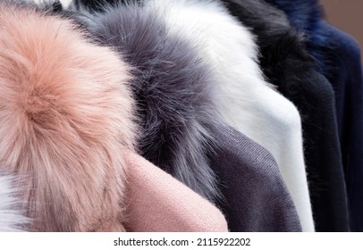 Close Up Of Fur Of Winter Jacket. Animal Torture And Killing For Fur.