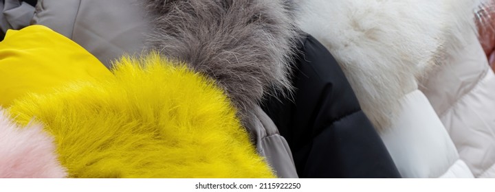 Close Up Of Fur Of Winter Jacket. Animal Torture And Killing For Fur.