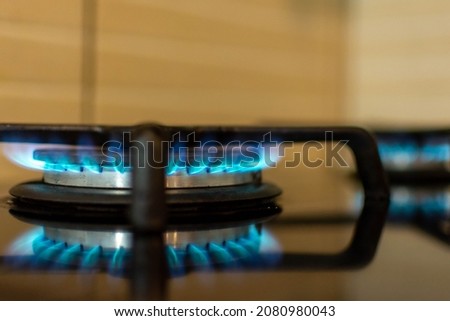 Close up of Gas kitchen stove cook with blue flames burning. Panel from steel with a gas.