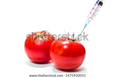 Close up of genetically modified tomatoes on the white background. GMO and syringe