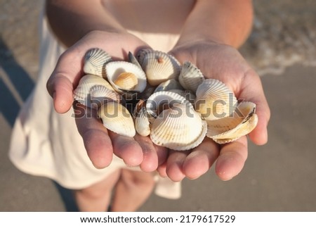 Close up of a girl holding sea shells in her hands. Hands holding sea shells, seashells in the hands 