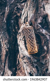 Close Up Glass Bottle Of Aromatic Woody Luxury Perfume On Background Of Tree Bark. Minimalistic Packaging, Branding. Woody Fragrance. Transparent Glass Cologne Aroma Template Vertical View, Soft Focus