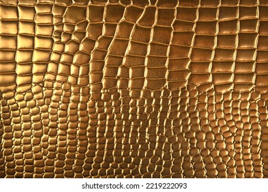 10+ Snake Scale Free Photos and Images