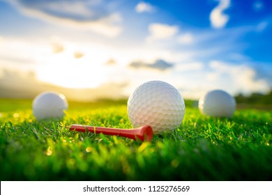 close up the golf ball and red tee pegs on the green background with sunset