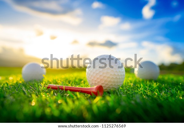 close up the golf ball and red tee pegs on the\
green background with\
sunset