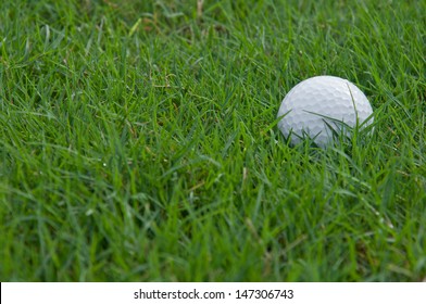 Close Up Of A Golf Ball In The Rough 