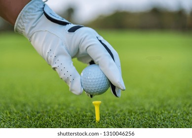 Close Up Golfer Ware Glove Putting Golf Ball On Tee At Golf Course In Game .