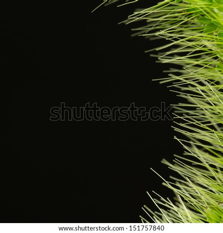 Similar – Image, Stock Photo poppy seed detail Poppy