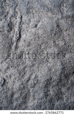 Close up of gray rock texture.
