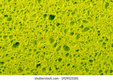 Close Up Green Cellulose Sponge Structura