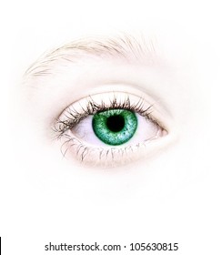 Close up of a green eye, natural no make-up