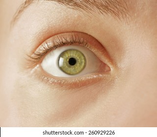 CLOSE UP OF A GREEN EYE - A Close Up Of A Wide Open Green Eye