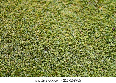 Close Up Of A Green Fake Grass Mat 