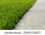 Close up of green grass lawn and granite pathway as a part of  garden  landscxape design.  Home garden and landscape  maintenance concept