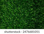 A close up of a green grassy field. The grass is short and the field is lush and green