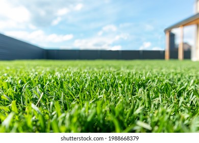 Close up of green lawn on a sunny day. Blue sky on the background. Selective focus - Shutterstock ID 1988668379