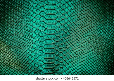 Close up green Luxury snake skin texture use for background