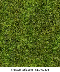 Seamless Moss Background Images Stock Photos Vectors Shutterstock