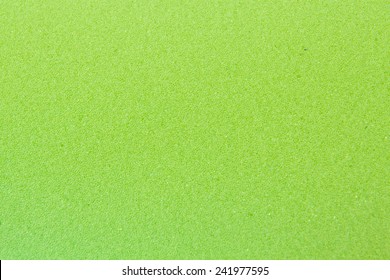 Close Up Of Green Sponge Texture