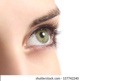 Close up of a green woman eye isolated on a white background              - Powered by Shutterstock