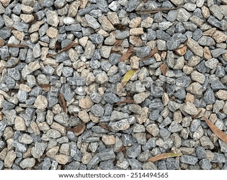 Close up grey pebbles texture, small coral rubbles or cobblestones in small size scattered on the ground with some dried fallen leaves.