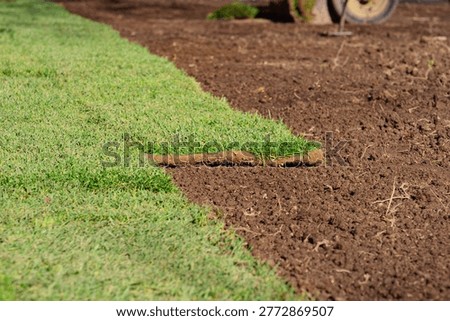 Close ground level perspective of newly laid green turf strips bordering dark bare soil, curved seam edge with partial sod roll, work equipment background
