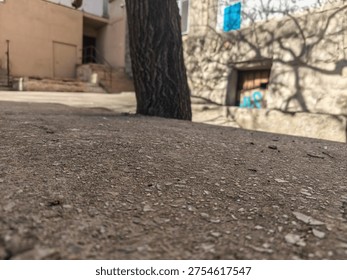 Close ground level view of soil surface with tree trunk and urba