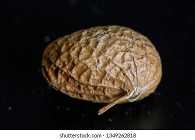 close up from a groundnut in her shell