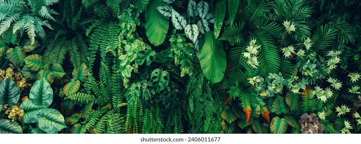 Close up group of background green leaves texture and Abstract Nature Background. Lush Foliage Textures. Exotic Greenery and Botanical Patterns. - Powered by Shutterstock