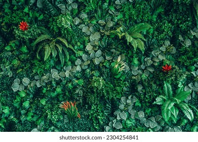 Close up group of background tropical green leaves texture and abstract background. Tropical leaf nature concept. - Powered by Shutterstock