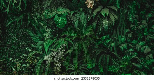 Close up group of background tropical green leaves texture and abstract background. Tropical leaf nature concept.