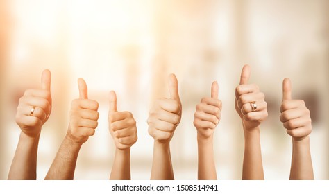 Close up of group of hands showing thumbs up over defocused background with copy space - Shutterstock ID 1508514941