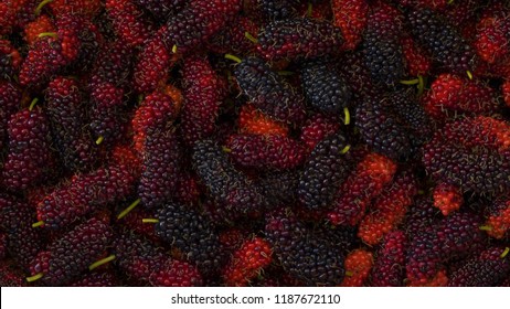 Close Group Organic Mulberry Black Ripe Stock Photo 1187672110 ...