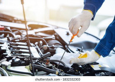 Close Up Hand Auto Mechanic Check New Car Engine Oil In Car Service Center.