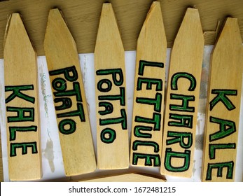 Close Up Of Hand Crafted Plant Labels Wood Markers For Organic English Vegetable Allotment Garden Raised Beds To Identify Growing Kale, Chard, Lettuce, Potato, Basil, Parsley, Pointed Edge Embed Soil