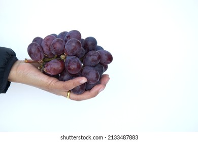 Close Up Of Hand Holding A Big Bunch Ripe Purple Harvested Grapes Isolated On White Background