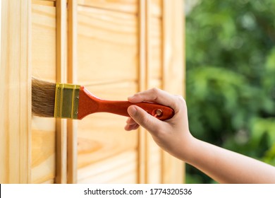 Close up the hand is holding a brush to paint the wooden door. Women's hands are using a lacquer brush to coat the wooden door to prevent moisture, termites In renovate refurbishment and DIY concept