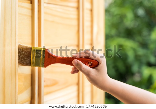 Close up the hand is holding a brush to paint the\
wooden door. Women\'s hands are using a lacquer brush to coat the\
wooden door to prevent moisture, termites In renovate refurbishment\
and DIY concept