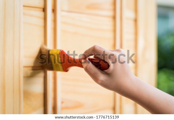 Close up the hand is holding a brush to paint the\
wooden door. Women\'s hands are using a lacquer brush to coat the\
wooden door to prevent moisture, termites In renovate refurbishment\
and DIY concept