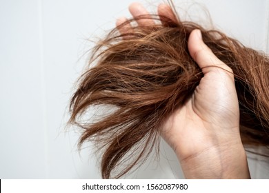 Close Up Hand Holding Dry Damaged Hair Problem In White Bathroom