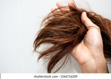 Close Up Hand Holding Dry Damaged Hair Problem In White Bathroom