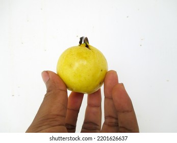 Close Up Hand Holding Guava. Fresh Fruit. Poster Background, Juice Company, Etc.