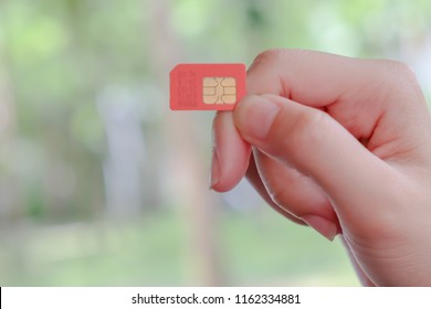 Close Up Of Hand Holding Red Sim Card.