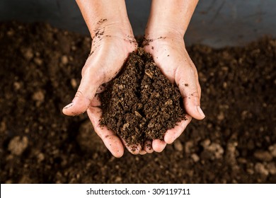 Close Up Hand Holding Soil Peat Moss