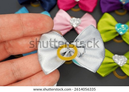 close in hand lies a gray bow with a silicone rubber band. accessories for dogs view from above