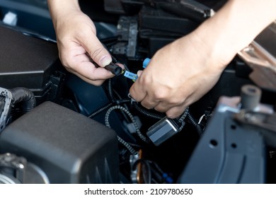 Close up hand a man hold plug of car headlight bulb Check for regularities and accuracy before assembling : Car electric maintenance work concept